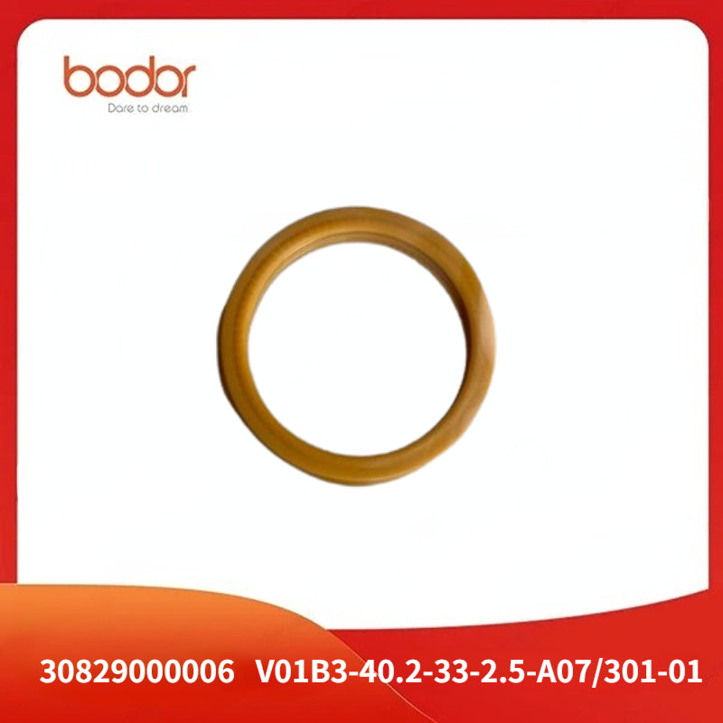 Sealing Ring