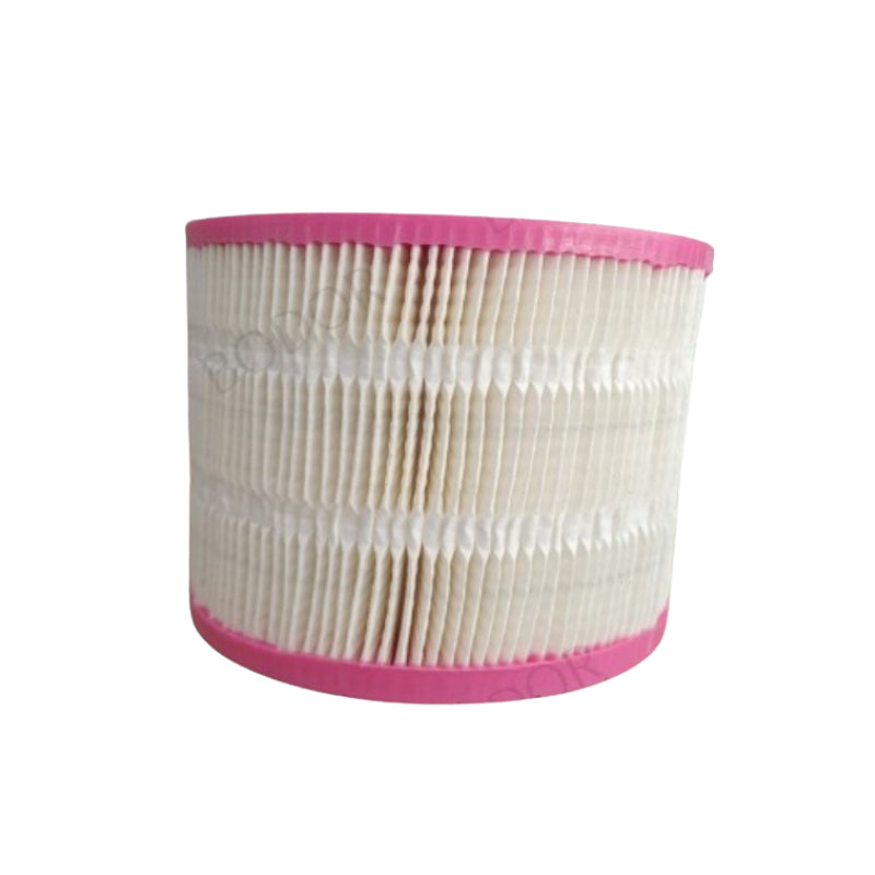 BG 30APMTF 22KW Air Compressor Filters