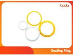 Sealing Ring